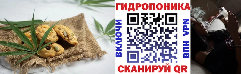 Купить закладки  Гай  Canna-Cookies марихуана 