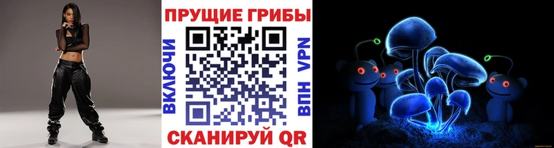 Галлюциногенные грибы Psilocybe  Купить где  Гай 